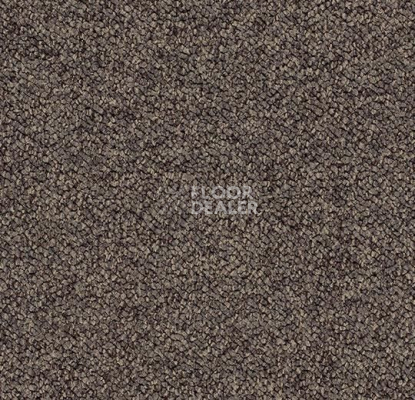 Ковровая плитка Forbo Tessera Chroma 3611 Treacle фото 1 | FLOORDEALER